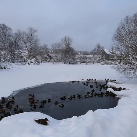 Pensjonat - Der Berghof