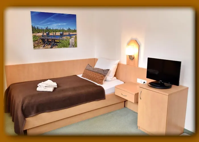 - Der Berghof 3* 브라운라제